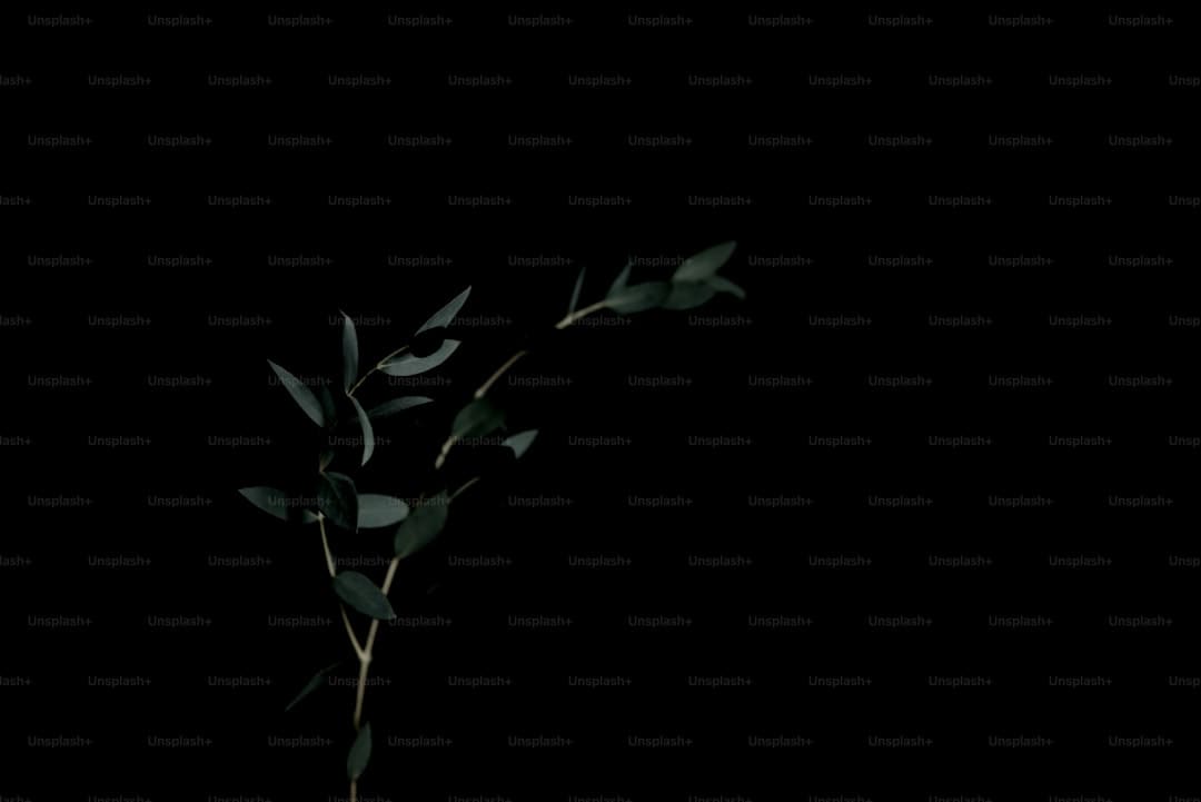 从小众创作走向社会共鸣!三七互娱携特殊艺术家启动游戏二创